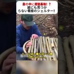 森の中に秘密基地！？誰にも見つからない究極のシェルター！ #秘密基地 #DIYシェルター #サバイバル術 #自然と共に暮らす #森の暮らし