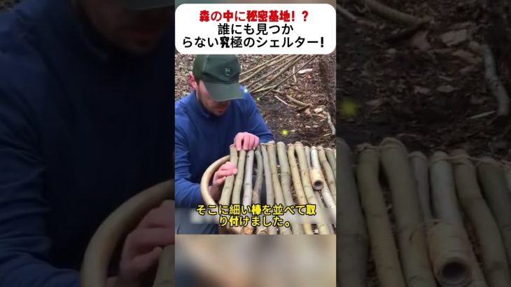 森の中に秘密基地！？誰にも見つからない究極のシェルター！ #秘密基地 #DIYシェルター #サバイバル術 #自然と共に暮らす #森の暮らし