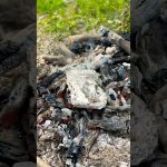 ✅DIY Charcoal🔥 #bushcraft #survival #camping #outdoors #forest #experiment #ideas #diy #creative