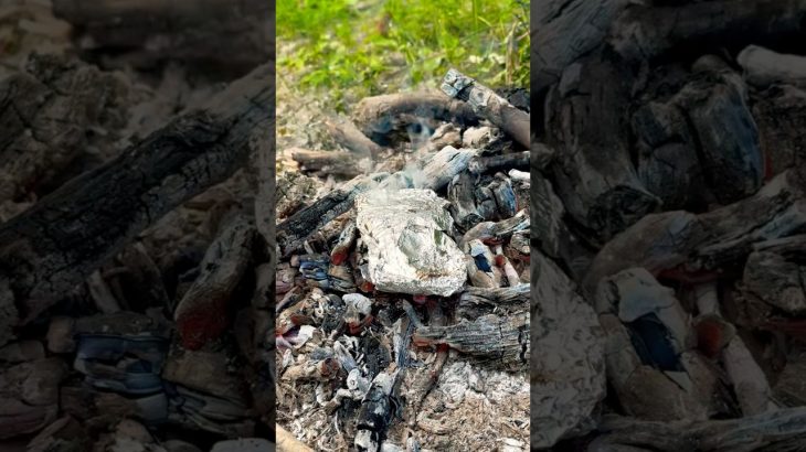✅DIY Charcoal🔥 #bushcraft #survival #camping #outdoors #forest #experiment #ideas #diy #creative