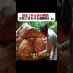 倒木で作る森の要塞！ 女性の命を守る避難所！ #サバイバル生活 #森の暮らし #DIYシェルター #アウトドア女子 #野外DIY