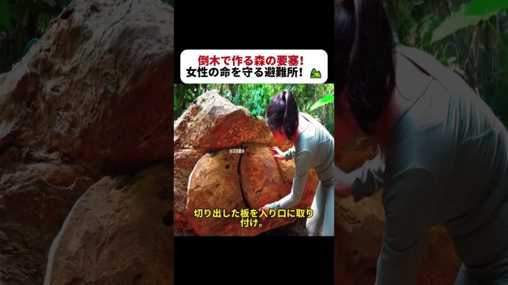 倒木で作る森の要塞！ 女性の命を守る避難所！ #サバイバル生活 #森の暮らし #DIYシェルター #アウトドア女子 #野外DIY