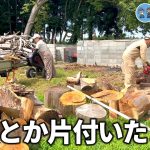 【敷地整備】高速薪割り機vs大量の原木【古民家再生342】
