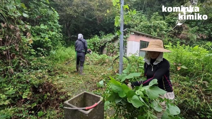 【古民家に住もう#281】大繁殖した葛クズを刈ったら草刈り機粉砕＆うるしでかぶれる？