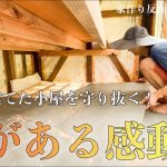 【床復活】シロアリで解体の危機だった3畳小屋を甦らせる。#275