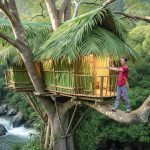 Building a Bamboo House on a Tall Tree – Survive Alone in the Forest – Escape Wild Animals