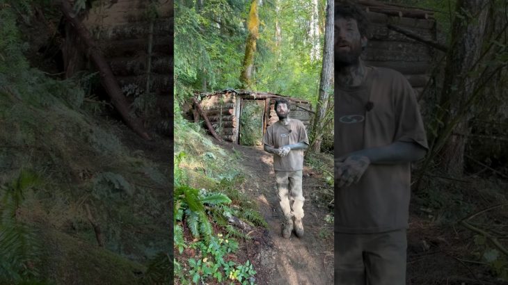 I Built a Bushcraft Cabin