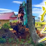 【切り株VS重機】遂に一番巨大な山が無くなりました!  【古民家再生352】
