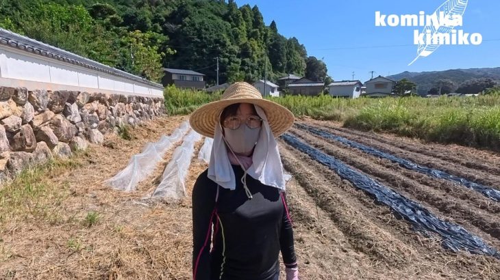 【古民家に住もう#286】気持ちのいい秋日和なので開墾中の畑を仕上げます。
