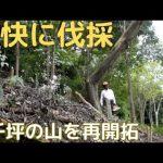 3千坪の山を再開拓　豪快に伐採３連発　薪割　薪棚