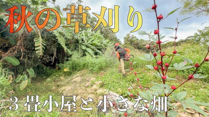 3畳小屋リフォームと畑の草刈り、島暮らしは家の維持が過酷すぎる #279