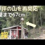 3千坪の山を再開拓　不安な伐採　小屋まで67ｃｍ