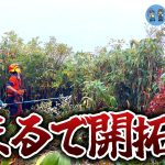 【えっ?斜度30度?】友人の手伝いに草刈り行ったら、まるで開拓でした【古民家再生356】