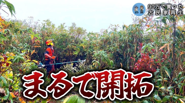 【えっ？斜度30度？】友人の手伝いに草刈り行ったら、まるで開拓でした【古民家再生356】