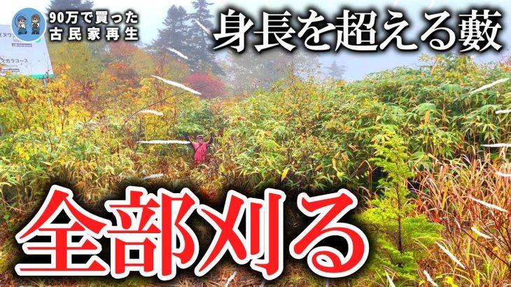 【これ終わる?】半日でこの光景が劇的に変わりました【古民家再生358】
