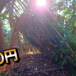 AIと行く　3日間無人島サバイバル