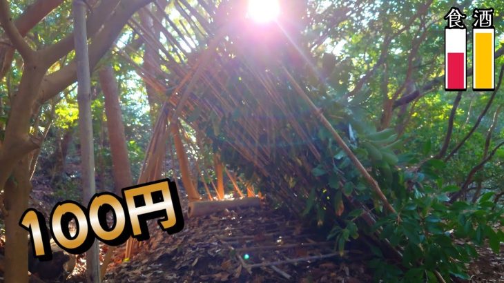 AIと行く 3日間無人島サバイバル