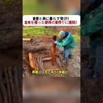 自然と共に暮らす贅沢！ 古木を使った野外の家作りに挑戦！ #DIY #自然生活 #サバイバル #古木 #アウトドア