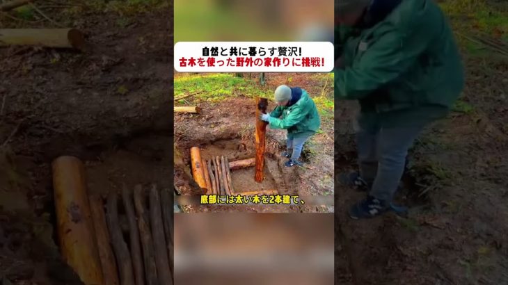 自然と共に暮らす贅沢！ 古木を使った野外の家作りに挑戦！ #DIY #自然生活 #サバイバル #古木 #アウトドア