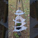 Genius Survival Water Filter You Can Make Anywhere!💧#survival #camping #bushcraft