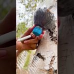 No filter? No problem 😳💧 This guy made WATER from the forest