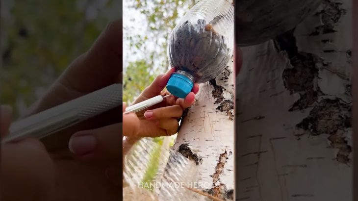 No filter? No problem 😳💧 This guy made WATER from the forest