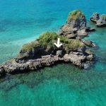 無人島でサバイバルする社畜。最後に化け物が掛かって震える休日