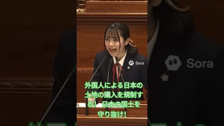外国人による日本の土地の購入を規制する! 日本の国土を守り抜け!
