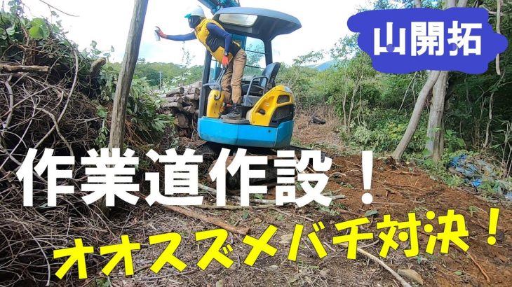 【山開拓】作業道作設と木材搬出準備！蜂に襲われる⁉