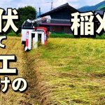 倒伏とヒエだらけの田んぼで稲刈り奮闘！米価への思いも。そして次男がコンバイン初挑戦！