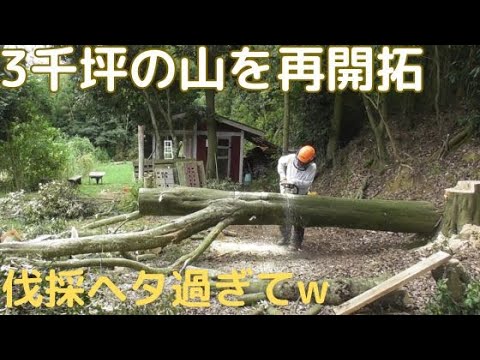 ３千坪の山を再開拓　伐採ヘタ過ぎてw 　薪割　掛かり木