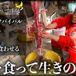 超山奥の山小屋でサルを食って0円生活のサバイバルで生き続ける夫婦に1日密着したらマジで人間離れしてた…【1日見てもいいですか？】