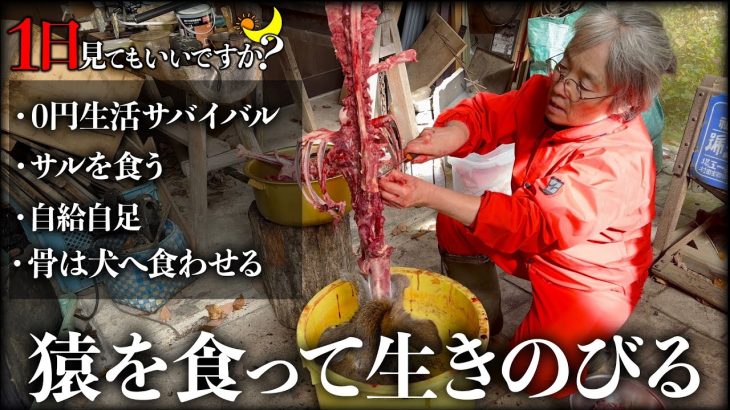 超山奥の山小屋でサルを食って0円生活のサバイバルで生き続ける夫婦に1日密着したらマジで人間離れしてた…【1日見てもいいですか？】
