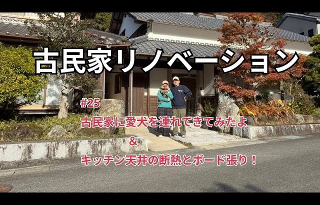 #25【古民家リノベ】愛犬を連れてきた＆DIYはキッチン天井の断熱入れと石膏ボード張り！