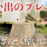 【田舎暮らし】パンクしたので自力でタイヤ交換、プレハブが盗られそうです!!!今年の秋も盛り上がって来ました。 #283