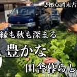 【古民家再生】人とのご縁も秋も深まる田舎暮らし｜なぜそこを覗いてしまったのだろうか｜自然農の畑さつまいも収穫｜秋の味覚を楽しむ