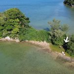 無人島でサバイバルする社畜。泳がせた魚に“異常事態”が発生した休日