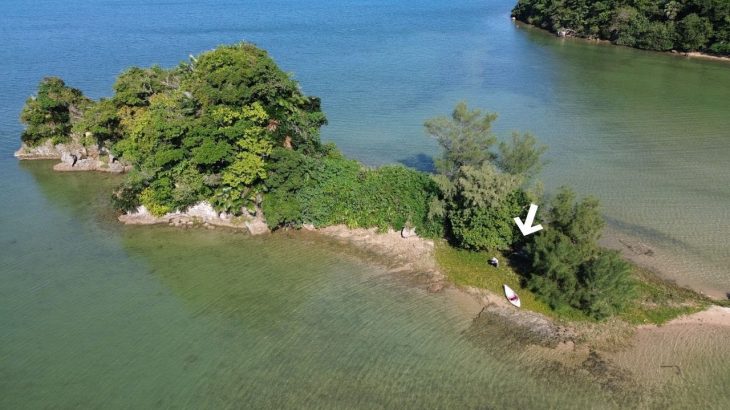 無人島でサバイバルする社畜。泳がせた魚に“異常事態”が発生した休日