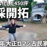 古民家DIY⑤ジャングル化した庭の大木を素人が全力伐採！2ヶ月かけて開拓した結果！